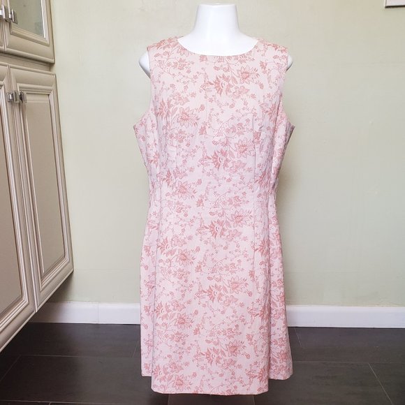 eva mendes for New York & Company Dresses & Skirts - Soft Pink Floral Dress